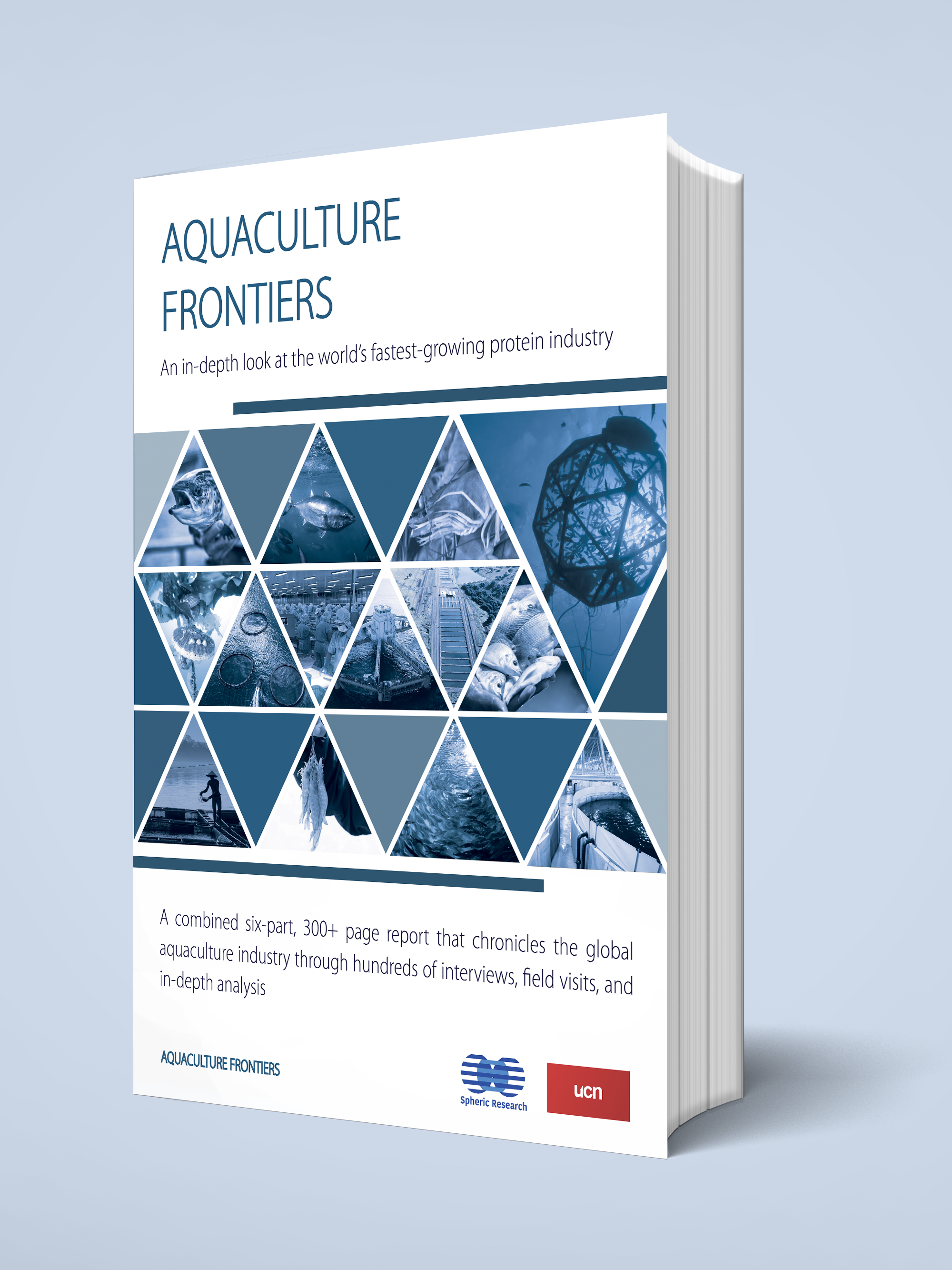 AF cover light background AF cover light background