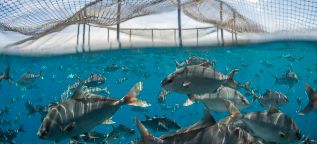 Screenshot 2020-03-24 at 13.02.29